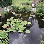 Kleines Haus Am Wald Séjour chez l'habitant