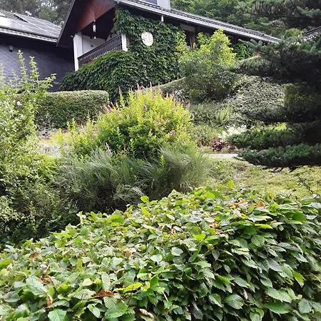Kleines Haus Am Wald