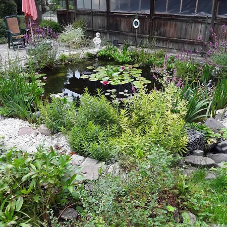 Homestay Kleines Haus Am Wald Rohrbach (Thuringia)