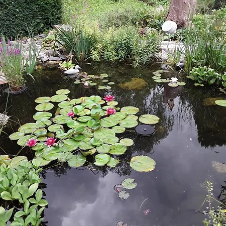 Kleines Haus Am Wald בית אירוח