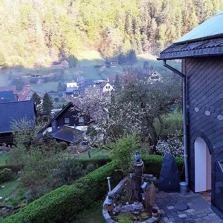 Kleines Haus Am Wald Проживание в семье Rohrbach (Thuringia)