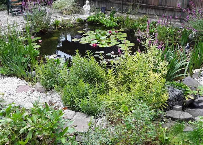 Accommodatie bij particulieren Kleines Haus Am Wald Rohrbach (Thuringia)