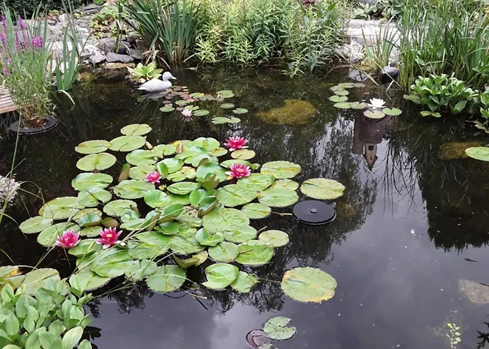Kleines Haus Am Wald Accommodatie bij particulieren