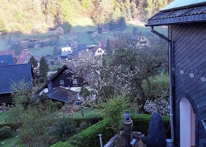 Kleines Haus Am Wald Проживание в семье Rohrbach (Thuringia)